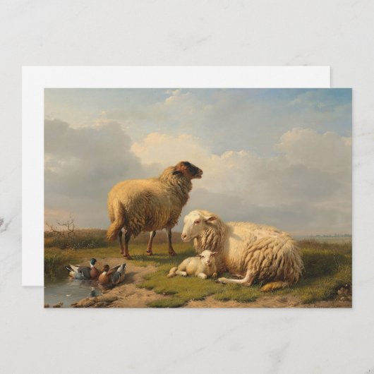 Lamm und Enten | Eugène Joseph Verboeckhoven (Vorne/Hinten)