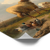 Lamm und Enten | Eugène Joseph Verboeckhoven Poster (Ecke)