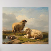 Lamm und Enten | Eugène Joseph Verboeckhoven Poster (Vorne)