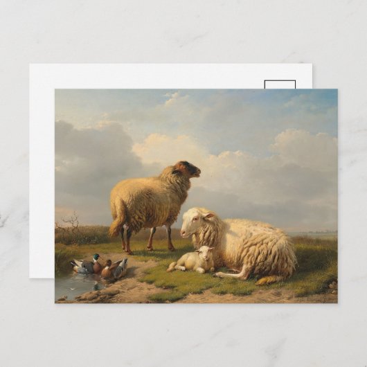 Lamm und Enten | Eugène Joseph Verboeckhoven Postkarte (Vorne/Hinten)