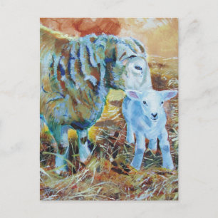 Lamm- und Schafspelzen Postkarte