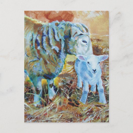 Lamm- und Schafspelzen Postkarte (Vorderseite)