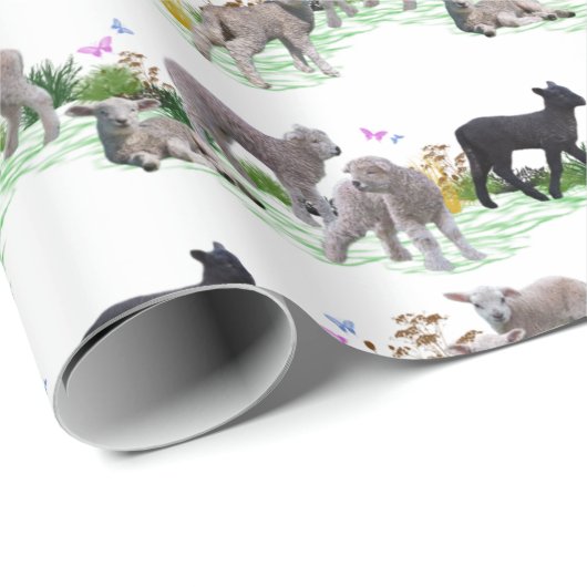 Lamm-Wiese-Wrapping Paper (Farbe auswählen) Geschenkpapier (Rolleneckpunkt)
