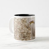 Lamm Zweifarbige Tasse (Vorderseite Links)