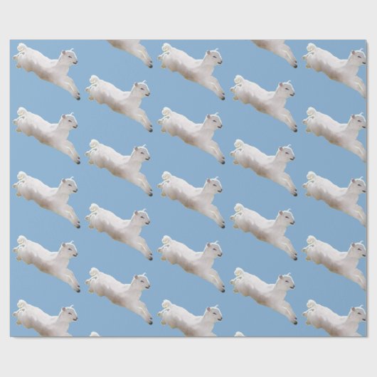 Lammbruch Ostern Geschenkpapier (Flach)