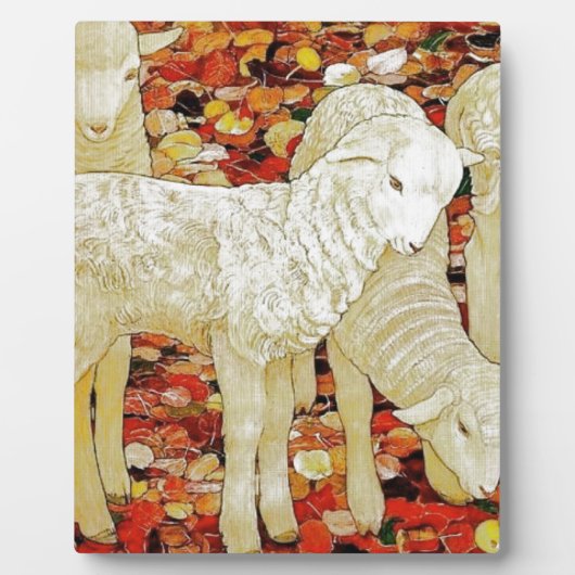 Lämmer Fotoplatte (Vorderseite)