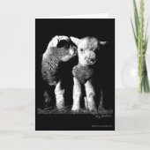 Lämmer Karte (Vorderseite)