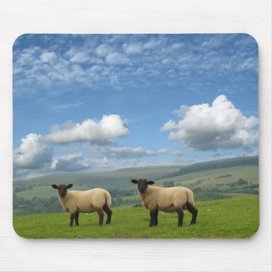 Lämmer Mousepad (Vorne)