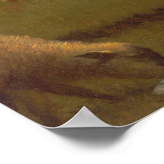 Lämmer, Nantucket - Eastman Johnson Fine Art Poste Poster (Ecke)