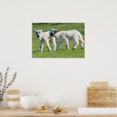 Lämmer Poster (Küche)