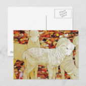 Lämmer Postkarte (Vorne/Hinten)