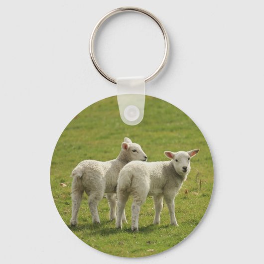 Lämmer Schlüsselanhänger (Vorderseite)