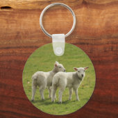 Lämmer Schlüsselanhänger (Vorderseite)