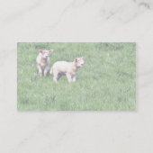 Lämmer Visitenkarte (Rückseite)