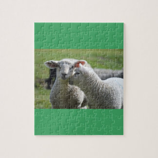 Lämmer zusammen puzzle