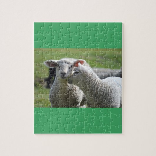 Lämmer zusammen puzzle (Vertikal)