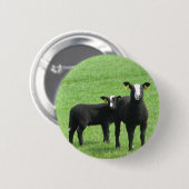 Lammetjes Button (Vorne & Hinten)