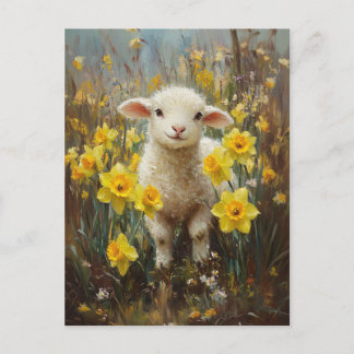 Lammfarbe Gelbe Daffodien Postkarte