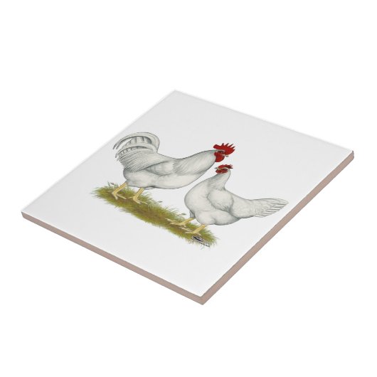 Lamona Hühner Fliese (Seite)