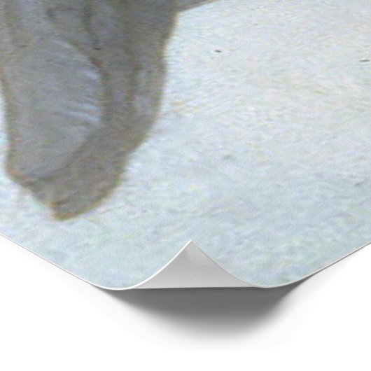 L'Amour et Psyché, Enfants - William Bouguereau Poster (Ecke)