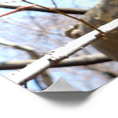 Lamp Post New York Central Park Poster (Ecke)