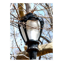 Lamp Post New York Central Park