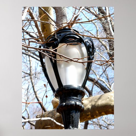 Lamp Post New York Central Park Poster (Vorne)