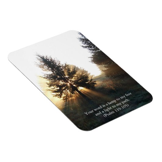 Lamp to My Feet Scripting Magnet (Rechte Seite)