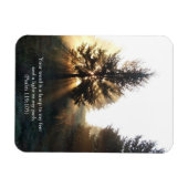 Lamp to My Feet Scripting Magnet (Horizontal)