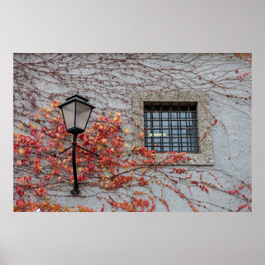 Lampe auf einer grauen Mauer Poster (Vorne)