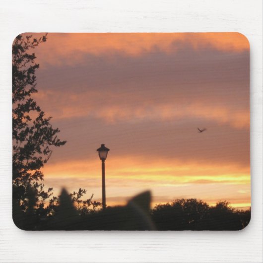 Lampe Post und Vogel Mousepad (Vorne)
