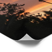 Lampe Post und Vogel Poster (Ecke)