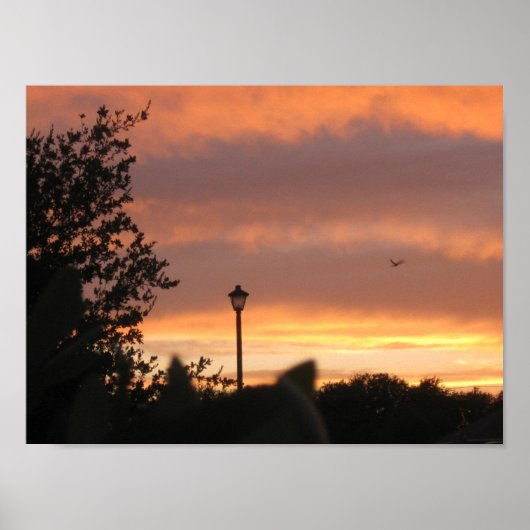 Lampe Post und Vogel Poster (Vorne)