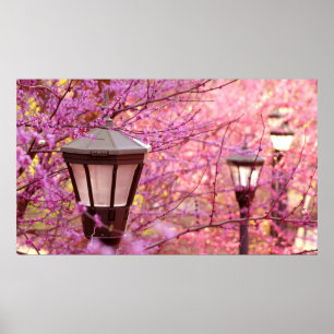 Lampen für UVA Poster