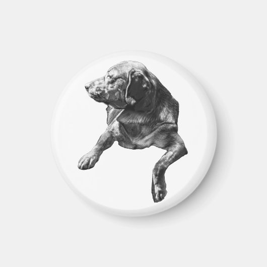 Lampenlicht: Labrador-Kontur Magnet (Vorne)