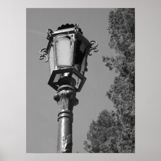 Lampenpost in Rumänien B&W Poster (Vorne)