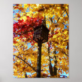 Lamppost Poster (Vorne)