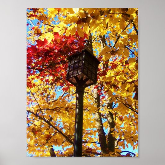 Lamppost Poster (Vorne)