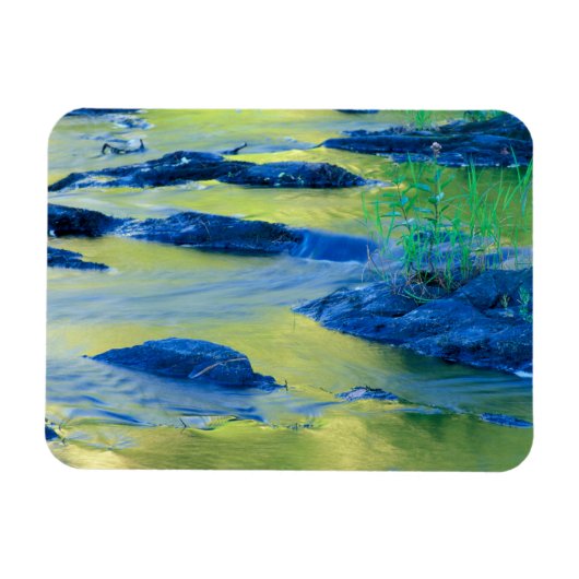 Lamprey River | New Hampshire Magnet (Horizontal)