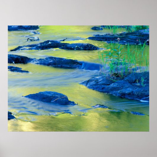 Lamprey River | New Hampshire Poster (Vorne)