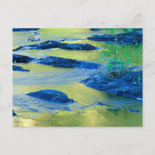 Lamprey River New Hampshire Postkarte
