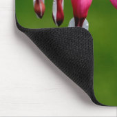 Lamprocapnos-Spezialisierungen Mousepad (Ecke)