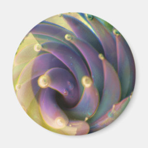 Lampwork Boro GlasseepastellLotus-Blasen-Magnet Magnet