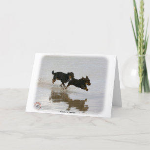 Lancashire Heeler 9R056D-182 Karte