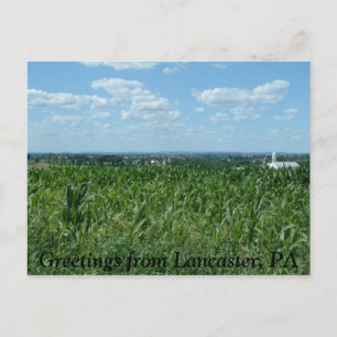 Lancaster field, Greetings from Lancaster, PA Postkarte