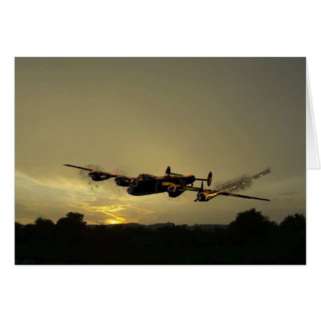 Lancaster Hedge Trichter. (Vorderseite (Horizontal))