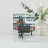 Lancaster Horse Postkarte (Stehend Vorderseite)