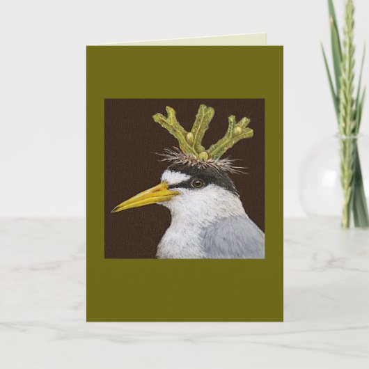 Lance the least tern card karte (Vorderseite)