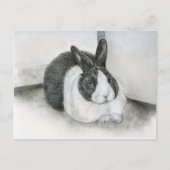 Lancelot Postkarte (Vorderseite)