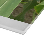 Land 109 Glasschneidebrett Schneidebrett (Ecke)